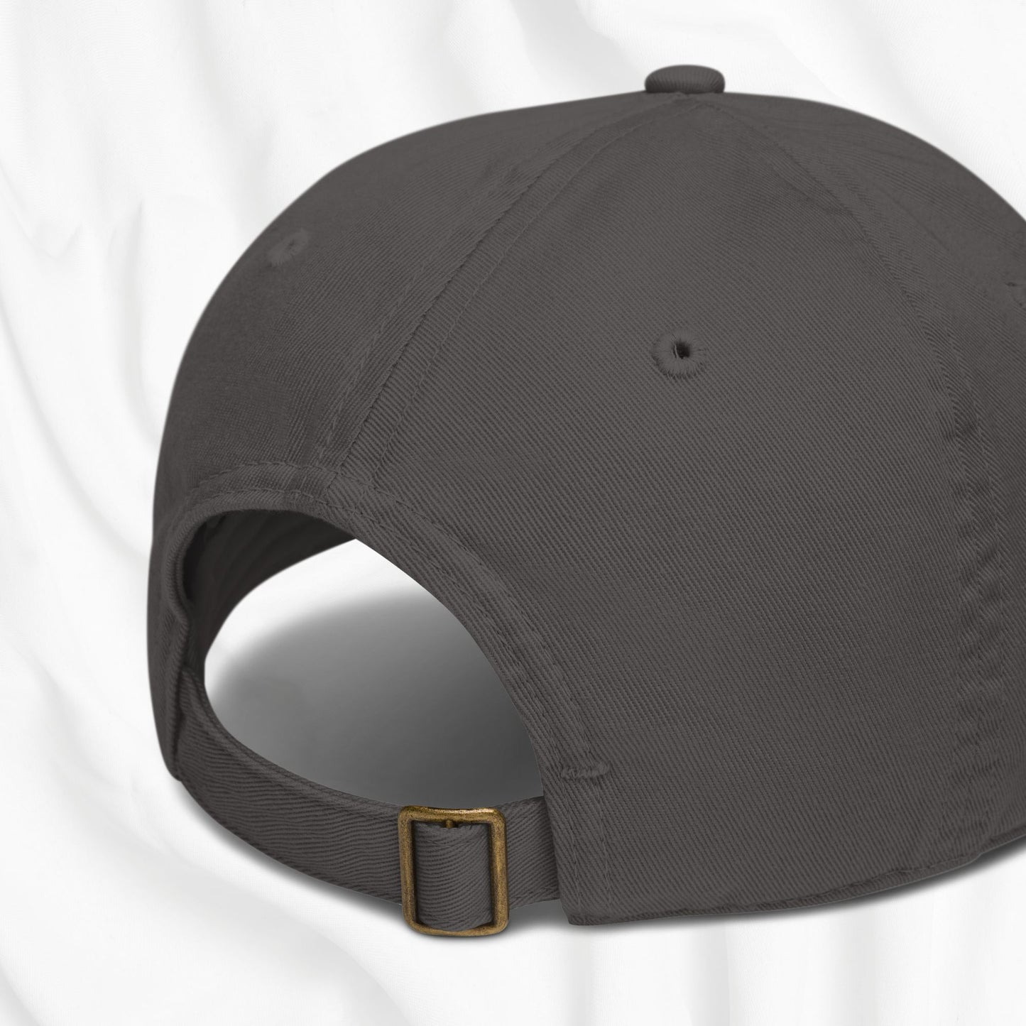 Aries Cap