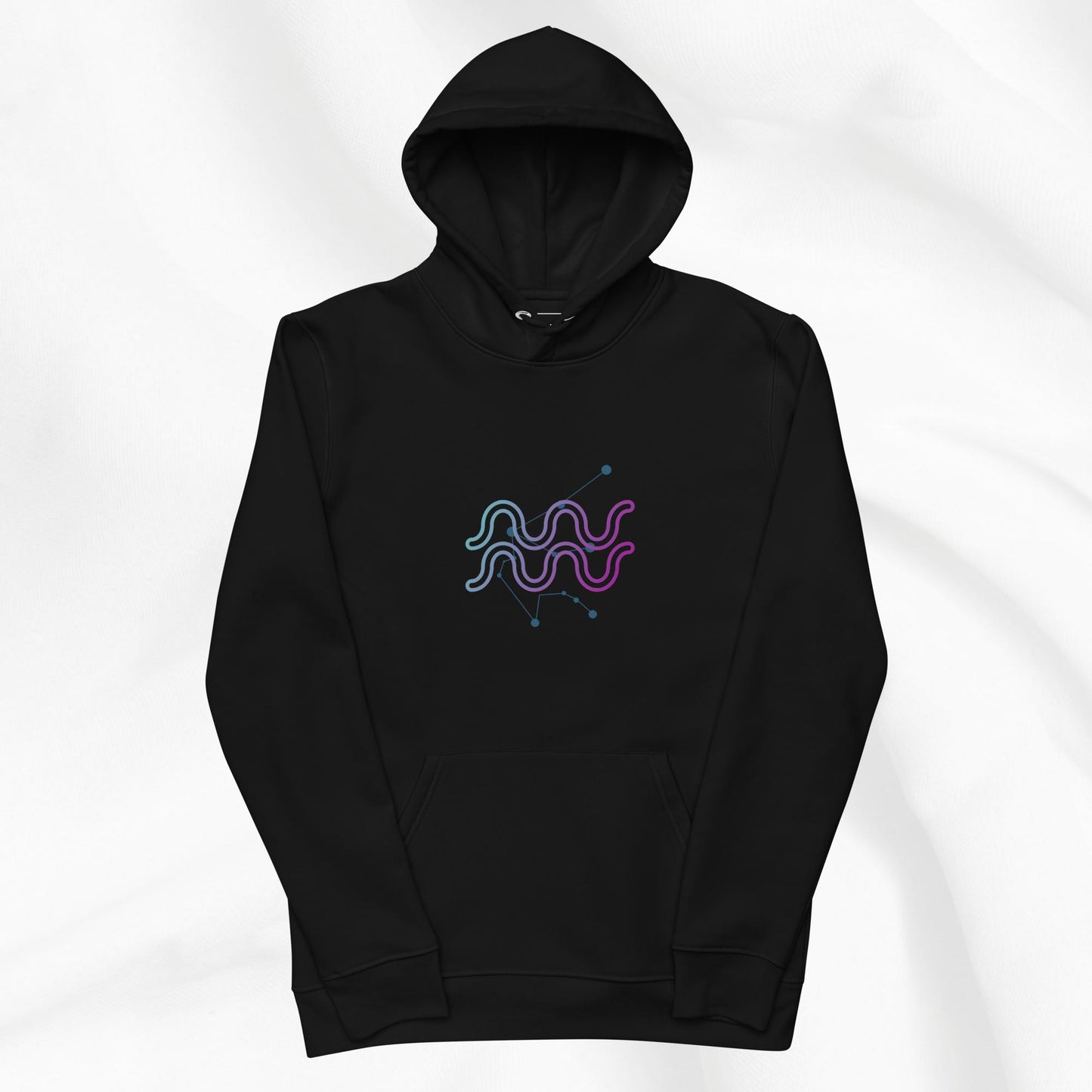 Aquarius Hoodie