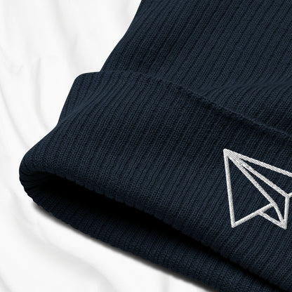 Paper Plane Embroidered Beanie