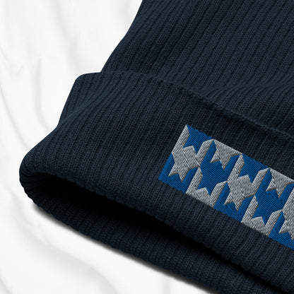 Houndstooth Embroidered Beanie