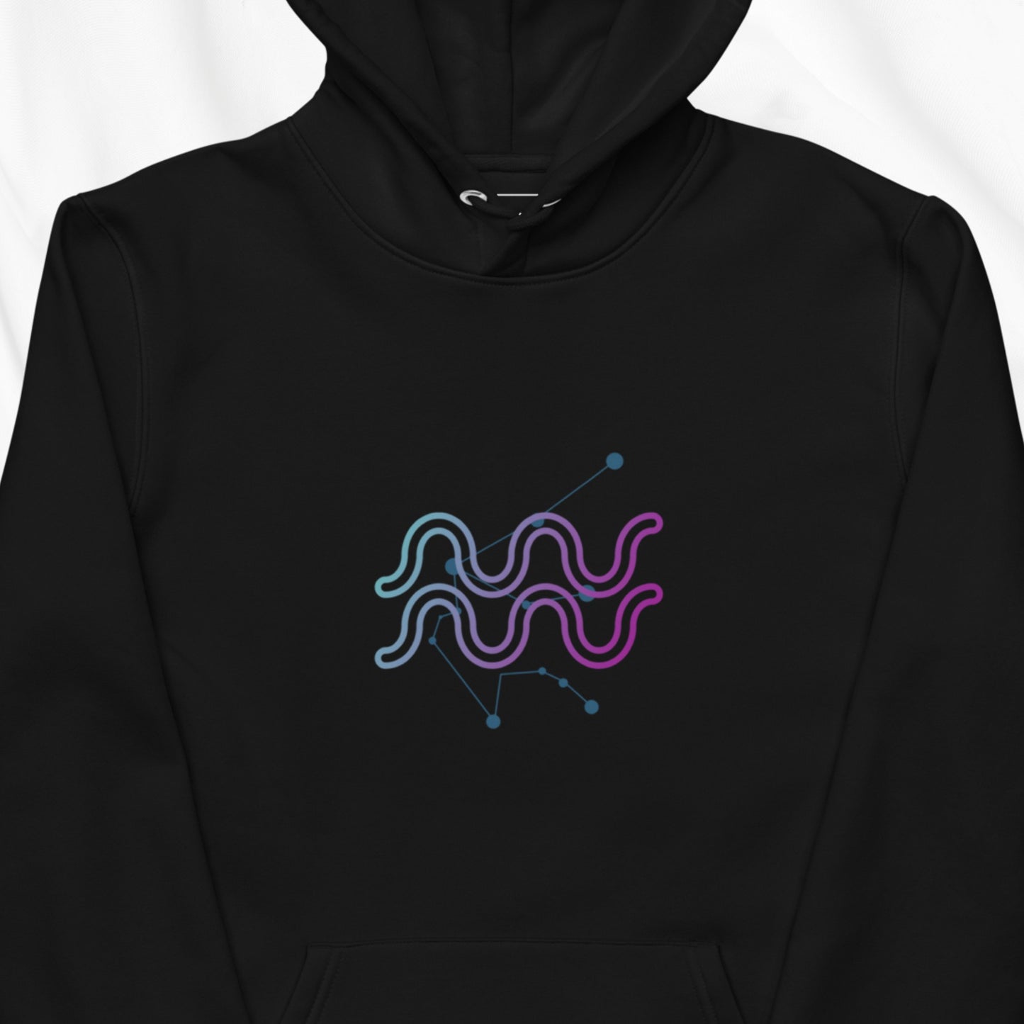 Aquarius Hoodie