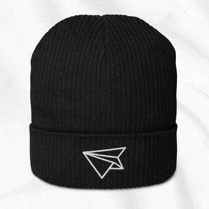 Paper Plane Embroidered Beanie