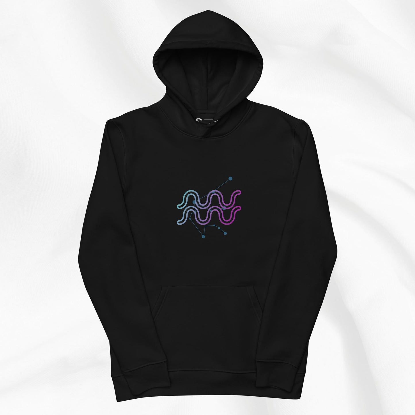 Aquarius Hoodie