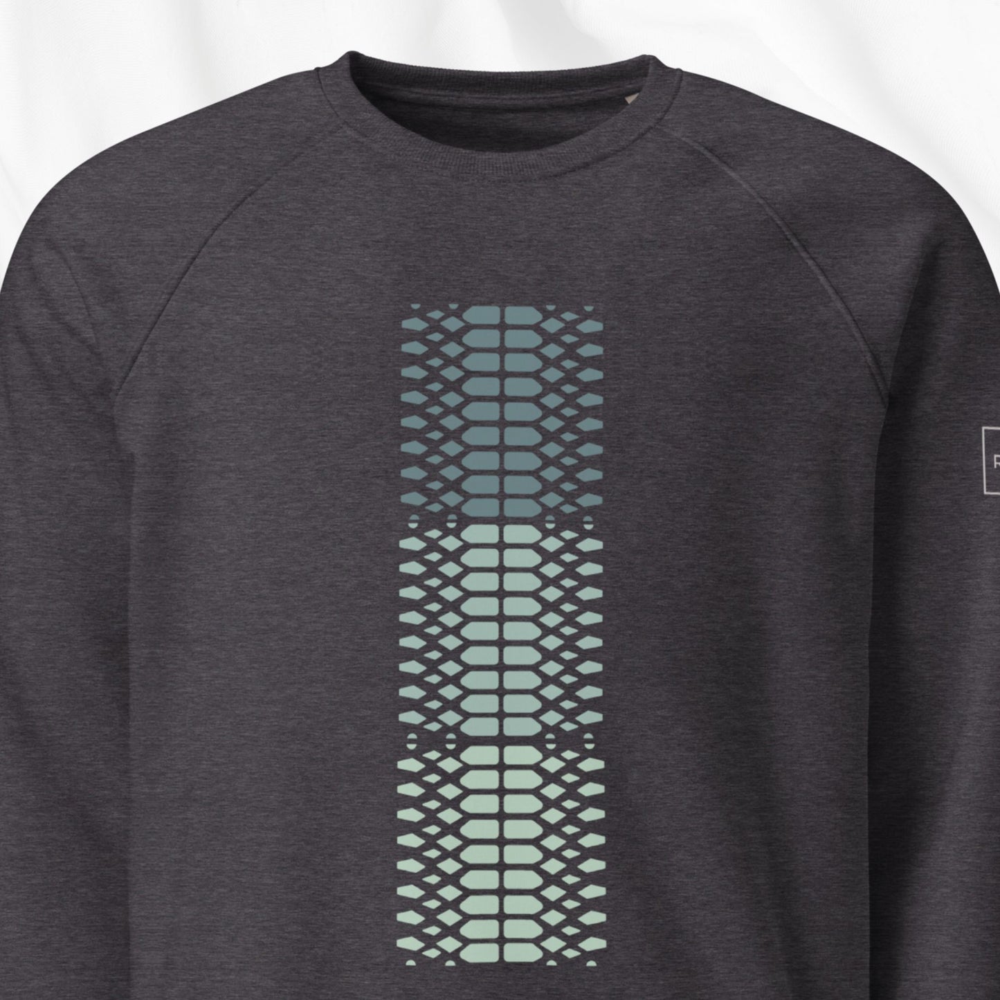 What a Snake Raglan Crewneck